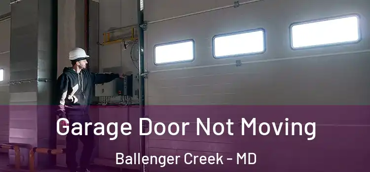  Garage Door Not Moving Ballenger Creek - MD