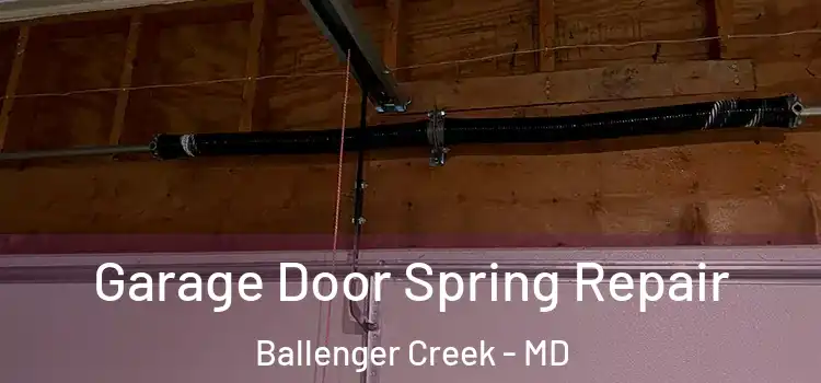  Garage Door Spring Repair Ballenger Creek - MD