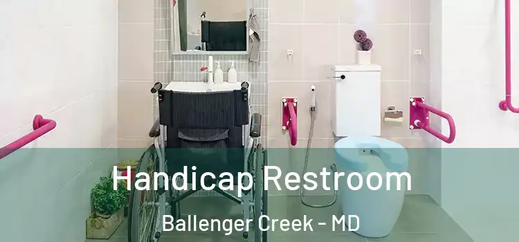 Handicap Restroom Ballenger Creek - MD
