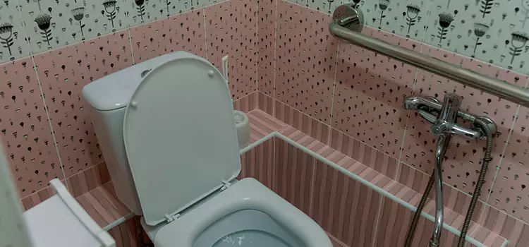 Meeting Diverse Needs With Accessible Restroom Solutions in Ballenger Creek, MD