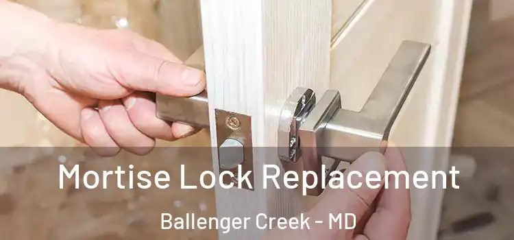 Mortise Lock Replacement Ballenger Creek - MD