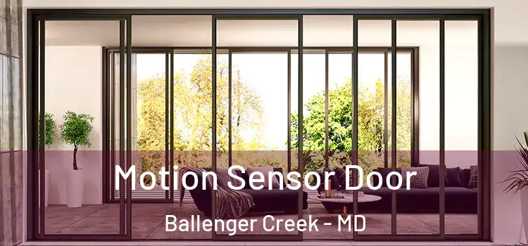 Motion Sensor Door Ballenger Creek - MD